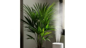 Areca palm plant with healthy green leaves and a humidifier nearby