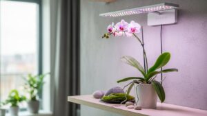 Best grow lights for orchids with pink floral display and LED illumination.