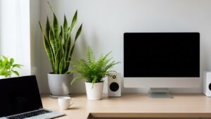 Unscented plants like ferns and snake plant on a desk in a modern office setting